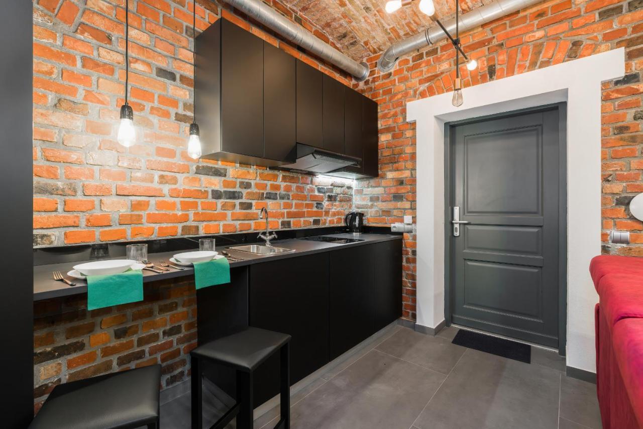 Level -1 Loft Apartments City Center Kopernika Poznan Exterior photo
